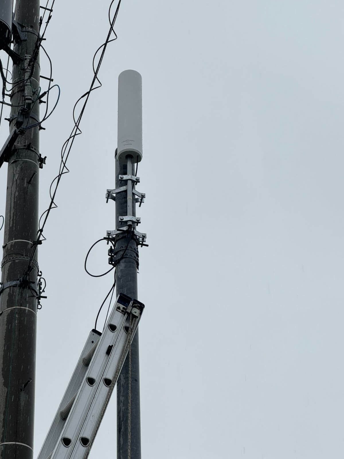 電柱にユニコーンアンテナを設置している様子（石川県金沢市M様邸）