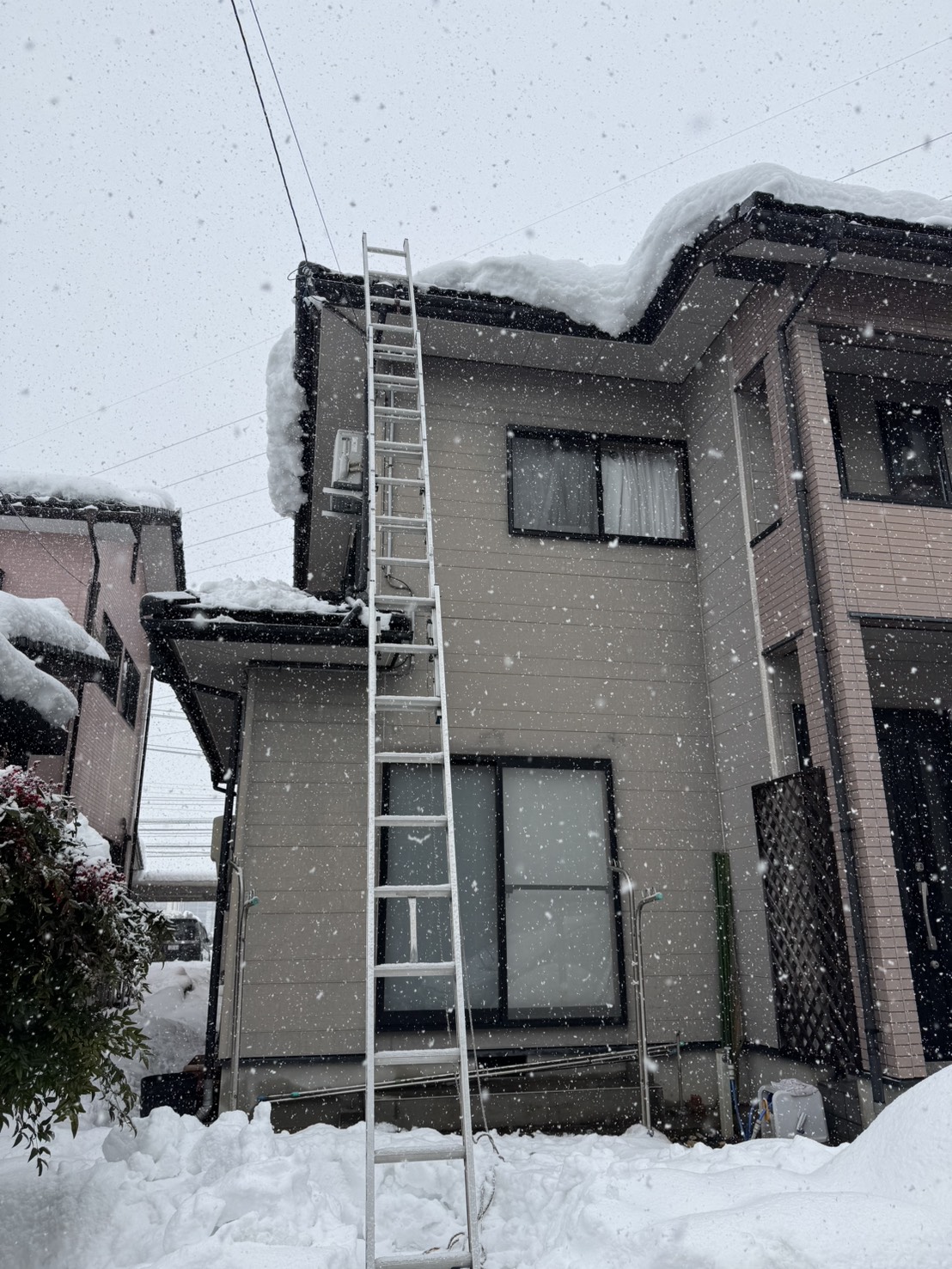 福井県越前市M様邸でデザインアンテナ設置前の梯子をつかった調査